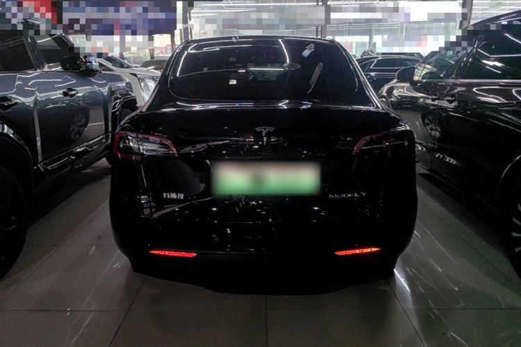 Tesla Model Y 2023 car image #6