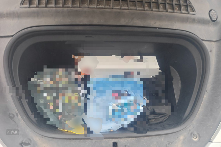 Tesla Model Y 2022 car image #22