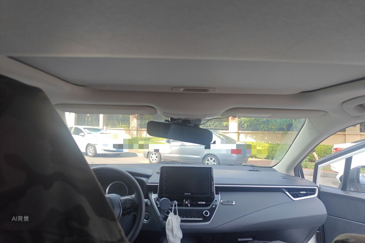 Toyota Corolla 2019 car image #20