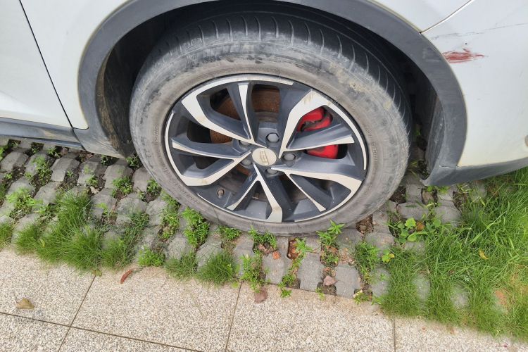 GEELY Emgrand GS 2020 imagem de carro #9