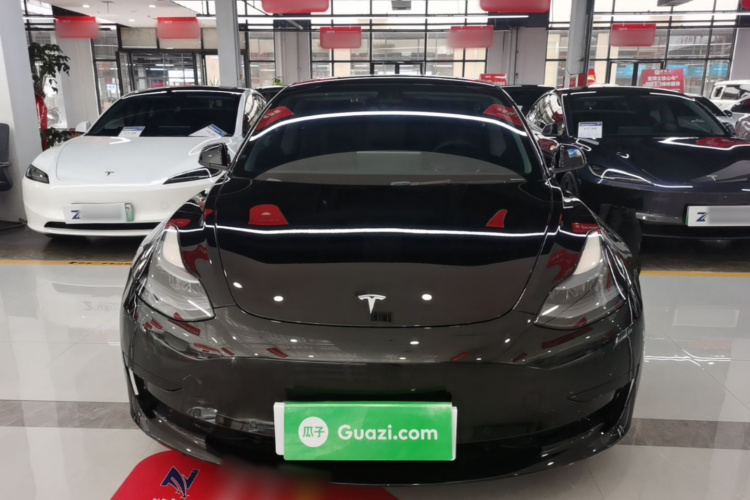 Tesla Model 3 2022 #3 Tesla Model 3 2022 car image #3