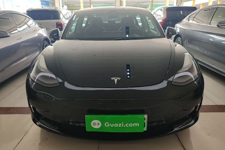 Tesla Model 3 2021 #3 Tesla Model 3 2021 car image #3