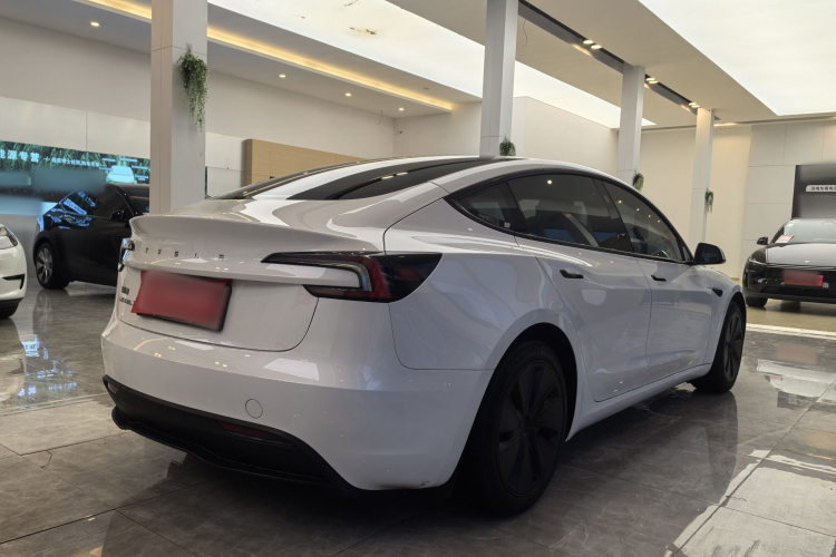 Tesla Model 3 2024 immagine di auto #6