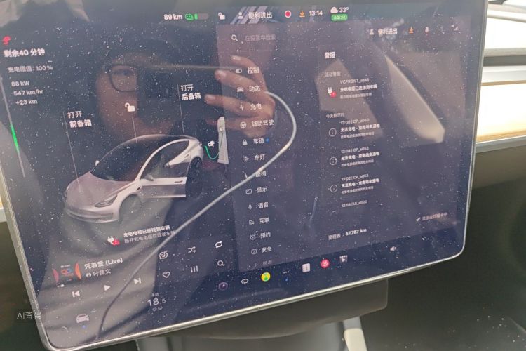 Tesla Model 3 2022 car image #15