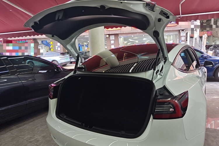 Tesla Model 3 2021 car image #21