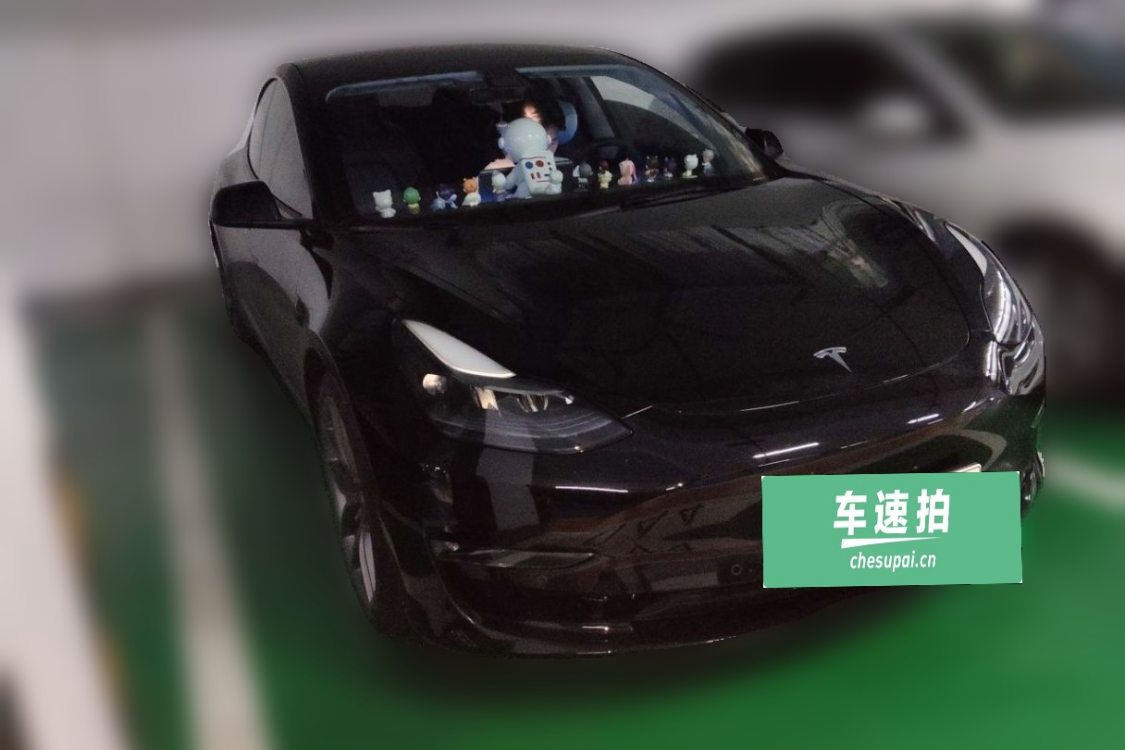 Tesla Model 3 2021 immagine di auto #2