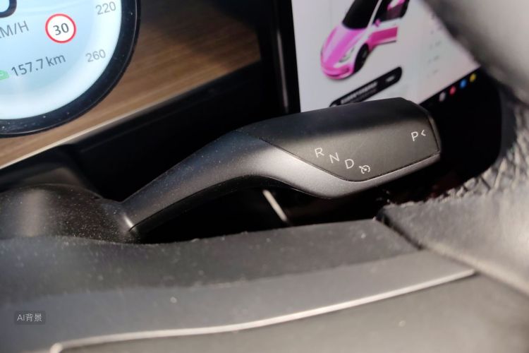 Tesla Model 3 2020 car image #16
