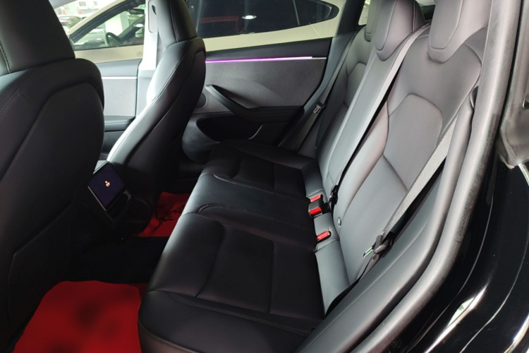 Tesla Model 3 2023 car image #17