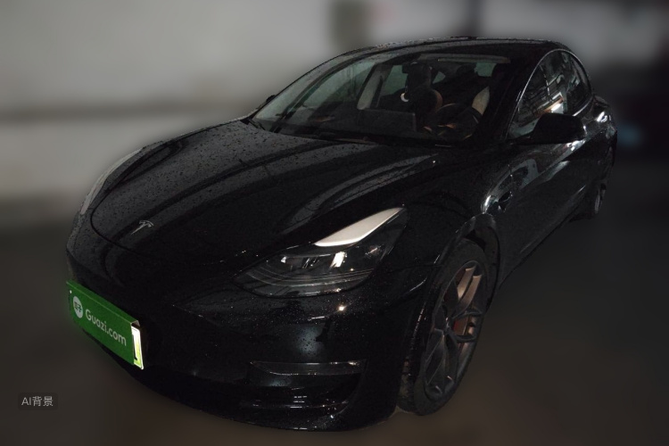 Tesla Model 3 2022 #2 Tesla Model 3 2022 car image #2