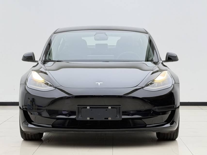 Tesla Model 3 2021 #2 Tesla Model 3 2021 immagine di auto #2