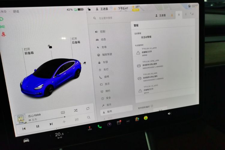 Tesla Model 3 2020 car image #13