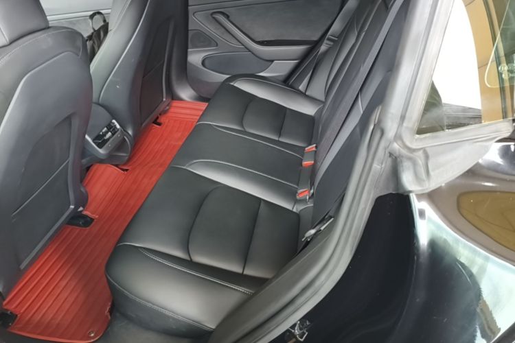 Tesla Model 3 2020 car image #17