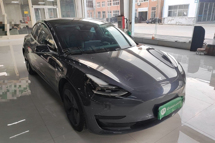 Tesla Model 3 2020 car image #4