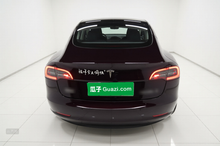Tesla Model 3 2023 car image #6