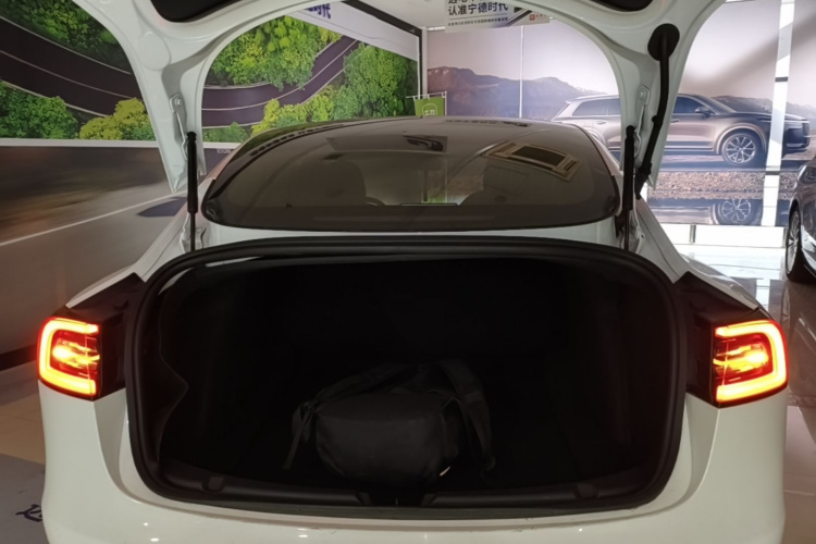 Tesla Model 3 2020 car image #19