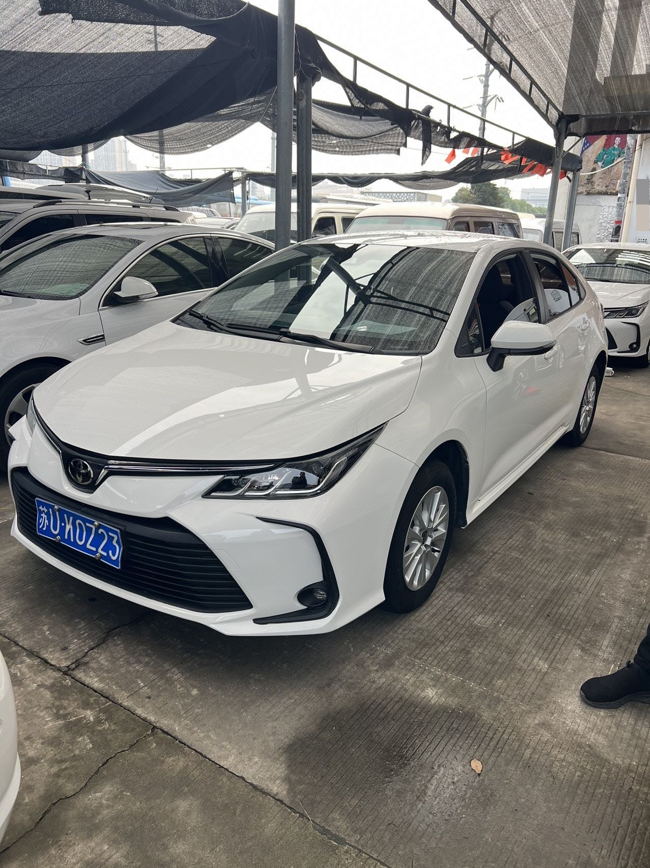 Toyota Corolla 2023 Toyota Corolla 2023 imagen de coche