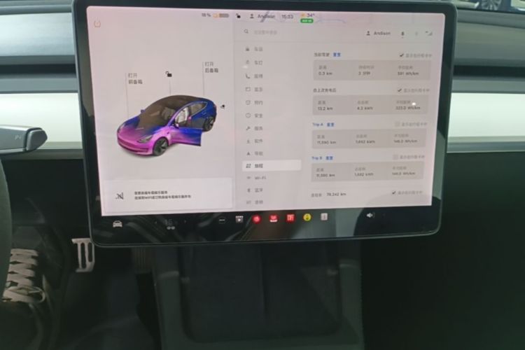 Tesla Model 3 2021 car image #17