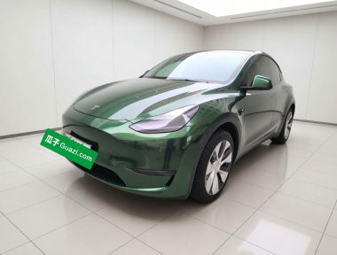 Tesla Model Y 2023 car image 