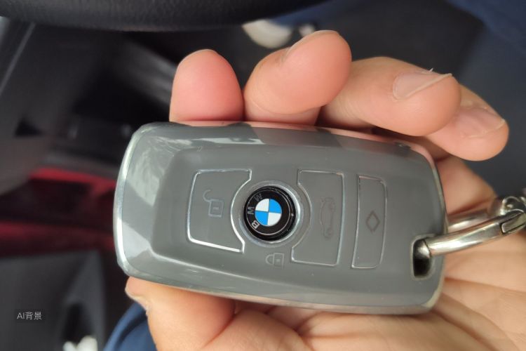 BMW 3 Series 2017 car image #10