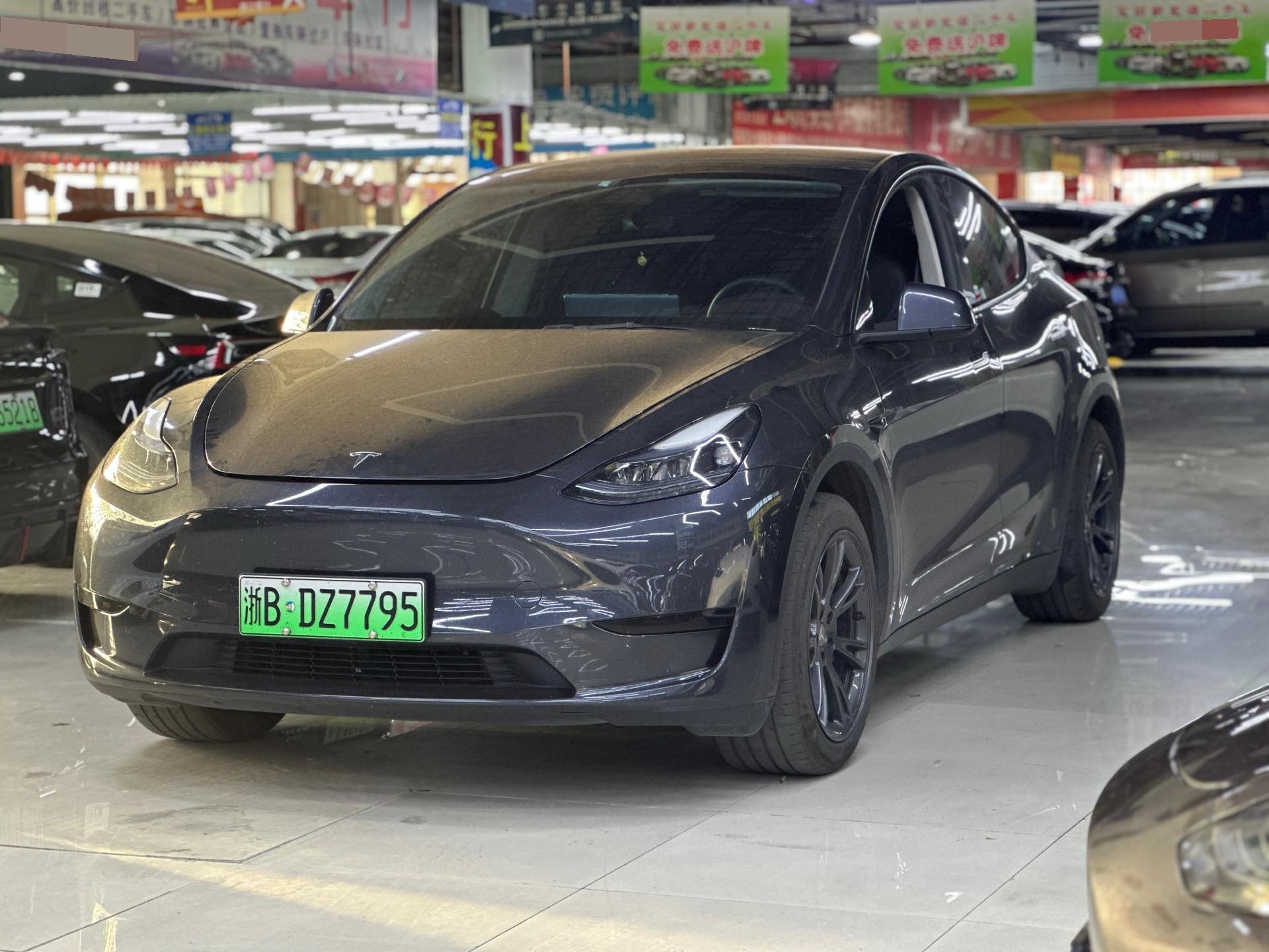 Tesla Model Y 2025 car image 