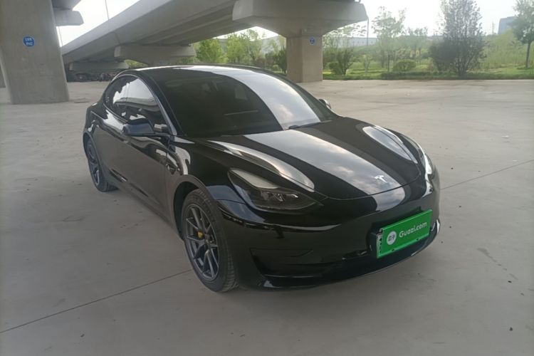 Tesla Model 3 2021 #4 Tesla Model 3 2021 car image #4