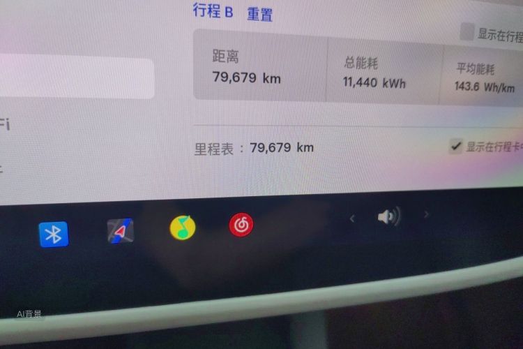 Tesla Model Y 2022 car image #14