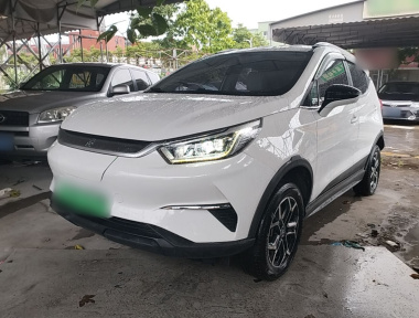 BYD Yuan Pro 2021 immagine di auto 