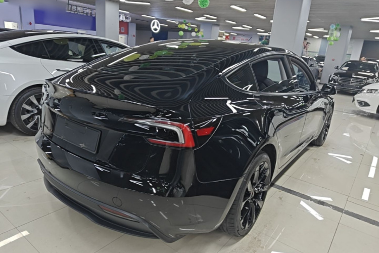 Tesla Model 3 2023 car image #7
