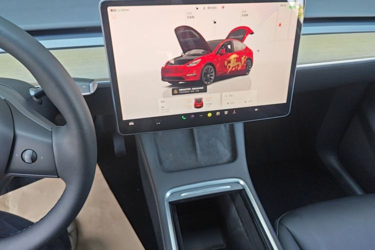 Tesla Model Y 2022 car image #13