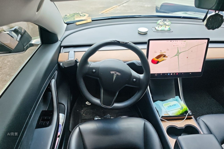 Tesla Model 3 2020 car image #12