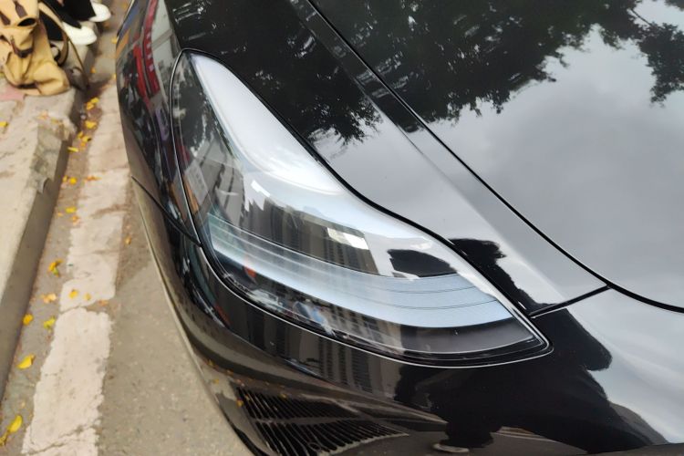 Tesla Model Y 2023 #8 Tesla Model Y 2023 car image #8
