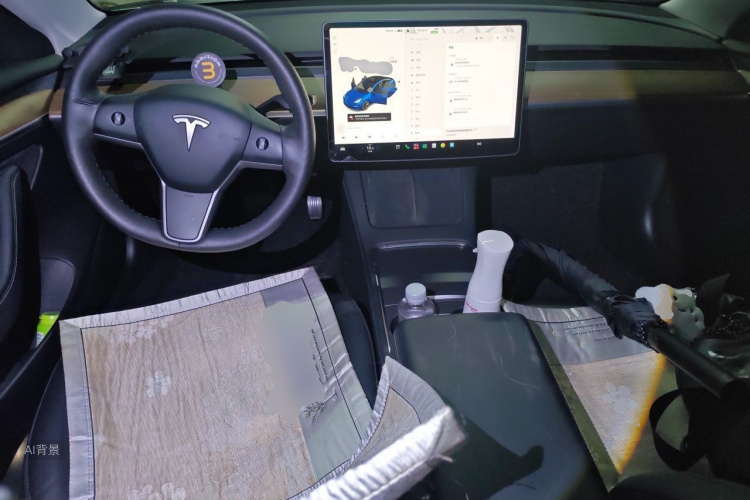 Tesla Model 3 2021 immagine di auto #11