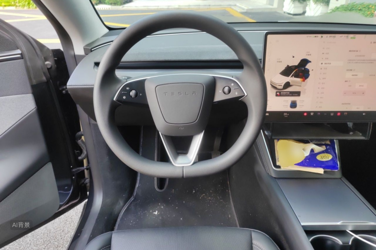 Tesla Model Y 2025 car image #12