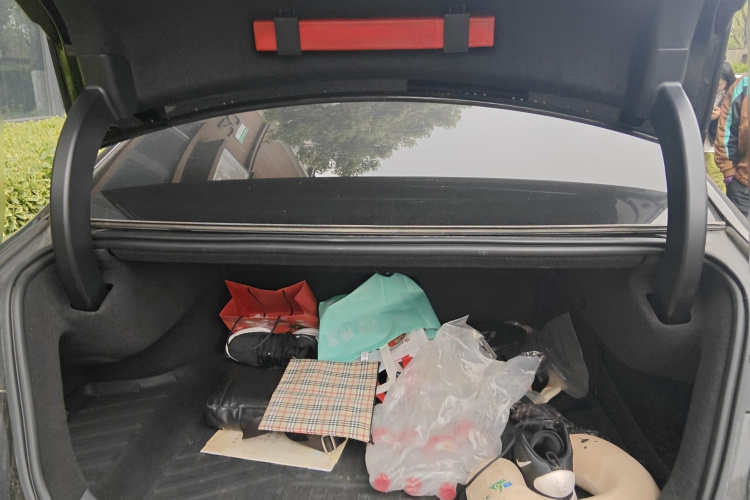 比亚迪 汉 2021 汽车图片 #18