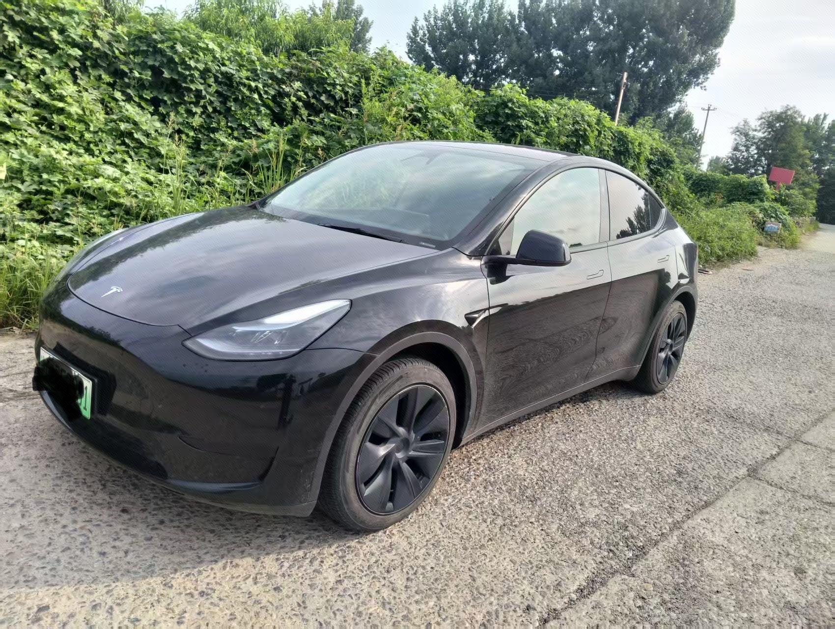 Tesla Model Y 2024 immagine di auto 