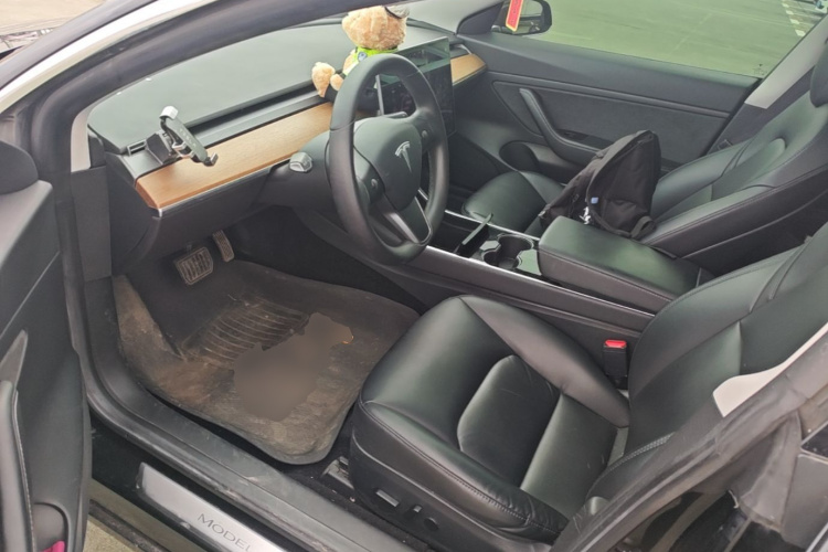Tesla Model 3 2020 #15 Tesla Model 3 2020 car image #15