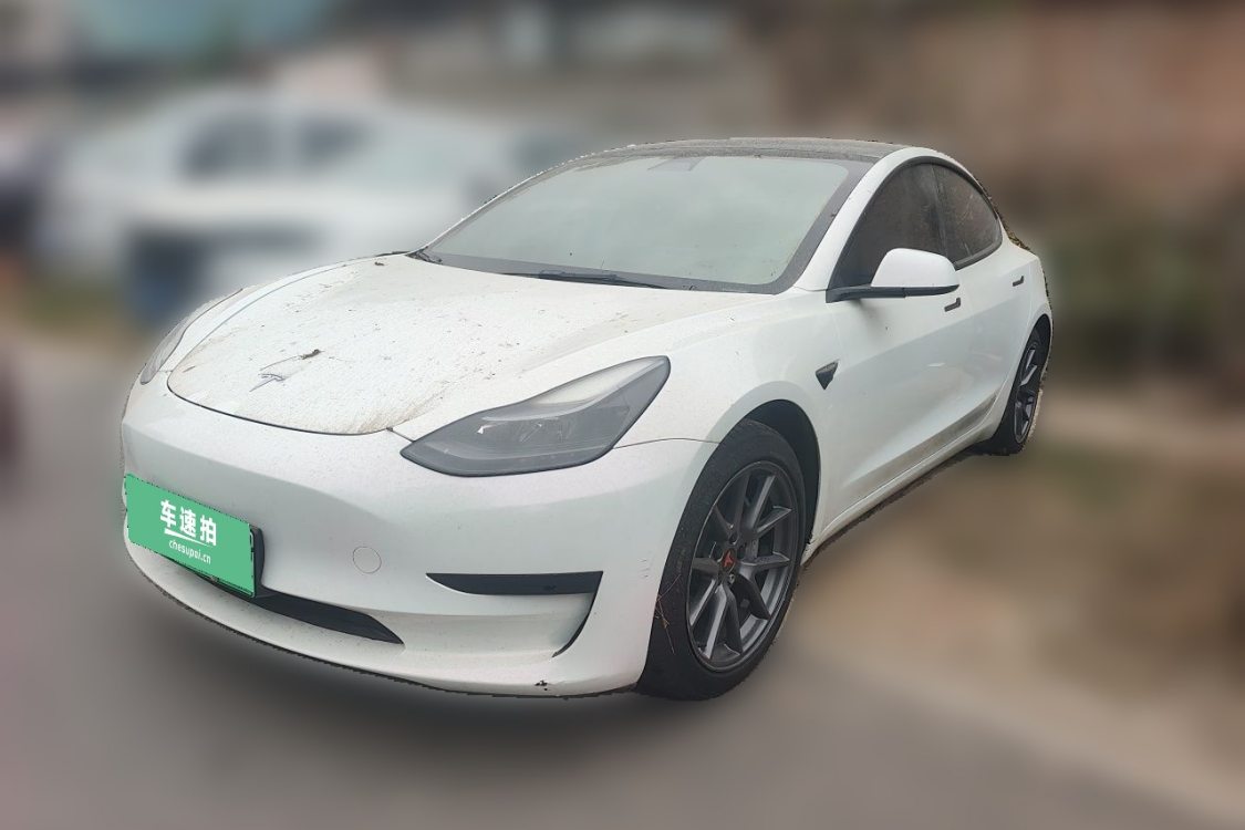 Tesla Model 3 2021 car image 