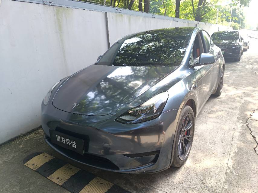 Tesla Model Y 2024 Tesla Model Y 2024 car image