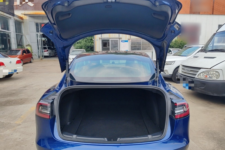 Tesla Model 3 2020 #19 Tesla Model 3 2020 car image #19