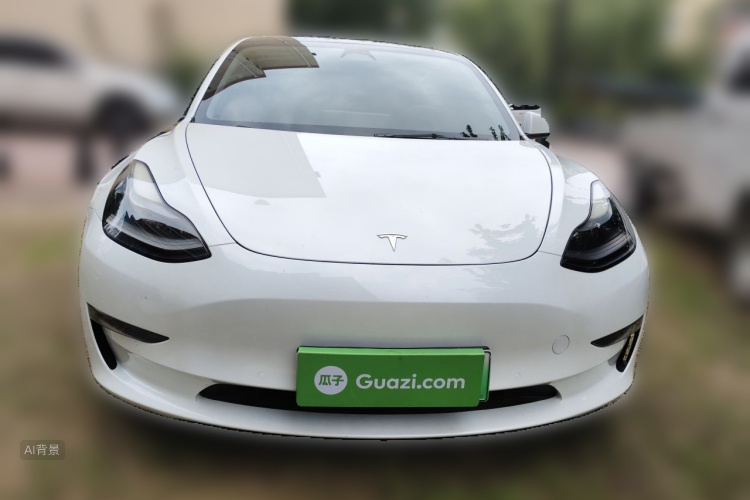 Tesla Model 3 2021 #3 Tesla Model 3 2021 car image #3