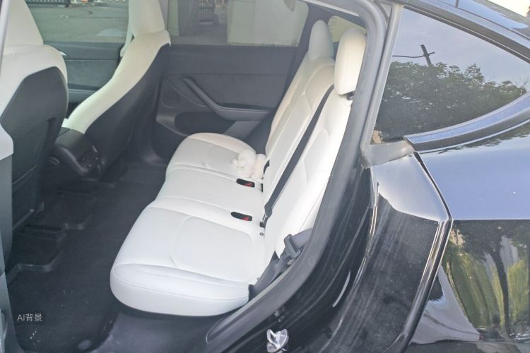 Tesla Model Y 2023 car image #19