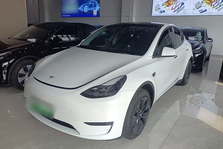 Tesla Model Y 2024 #2 Tesla Model Y 2024 car image #2