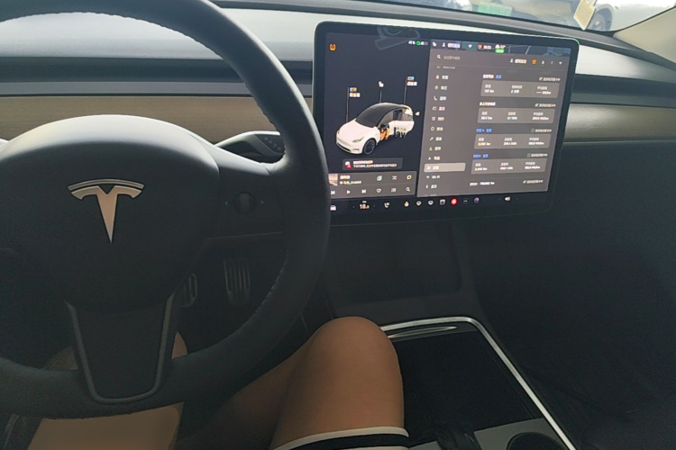 Tesla Model Y 2021 car image #11