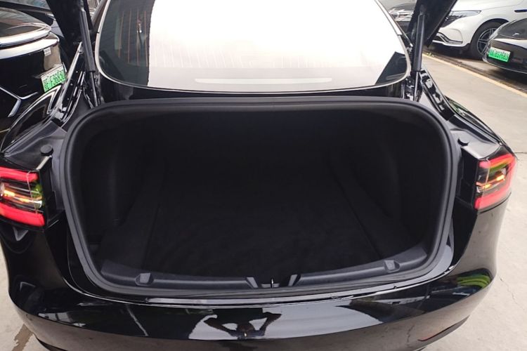 Tesla Model 3 2020 #19 Tesla Model 3 2020 car image #19