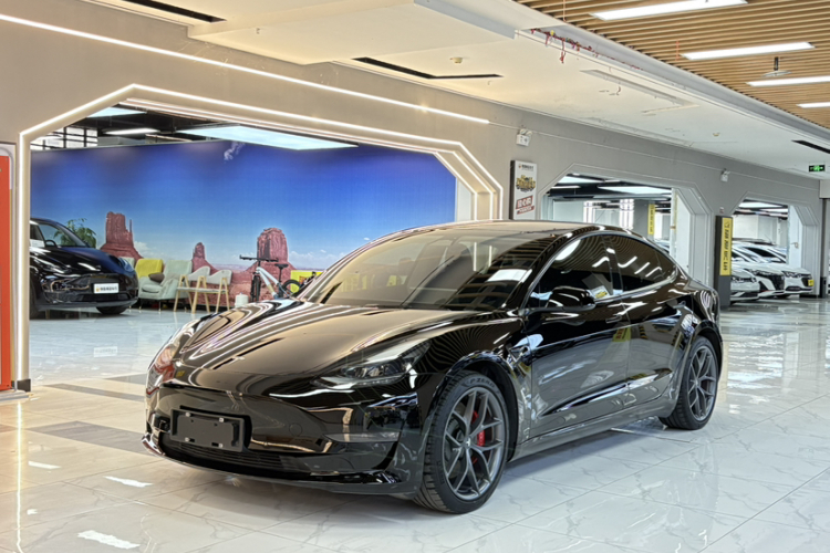 Tesla Model 3 2022 #2 Tesla Model 3 2022 car image #2