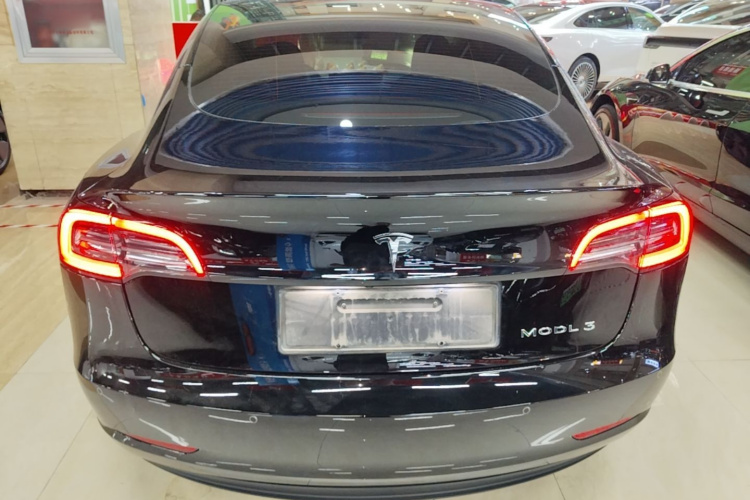 Tesla Model 3 2023 #6 Tesla Model 3 2023 car image #6