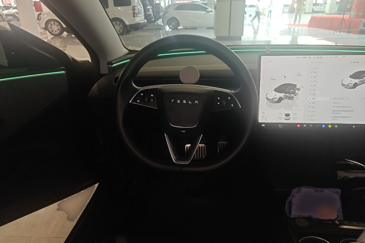 Tesla Model 3 2024 immagine di auto #11
