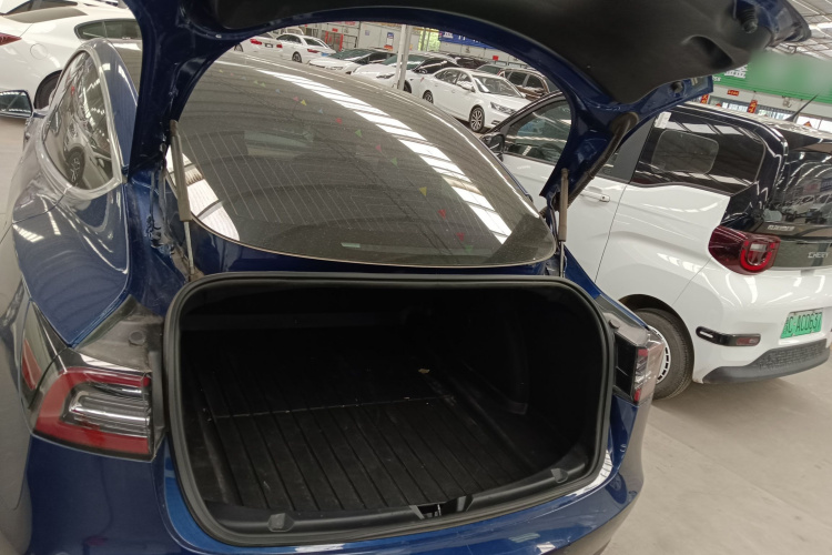 Tesla Model 3 2020 immagine di auto #19