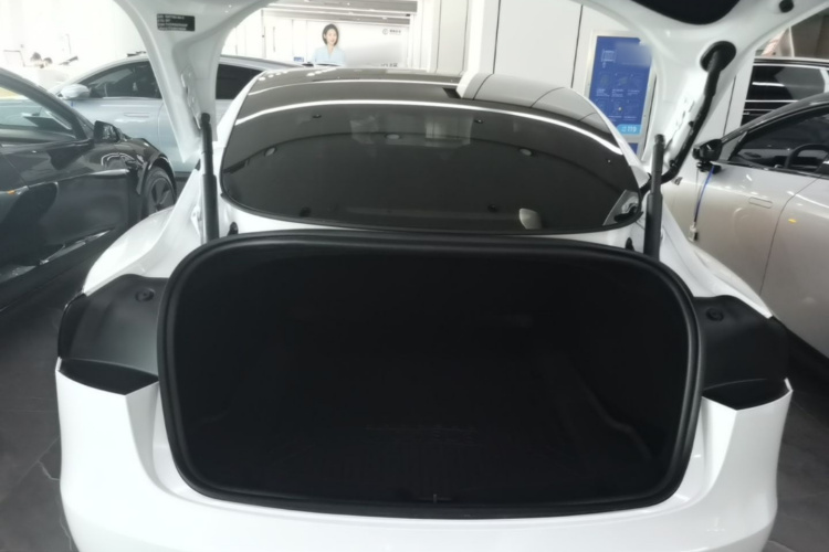 Tesla Model 3 2024 car image #19