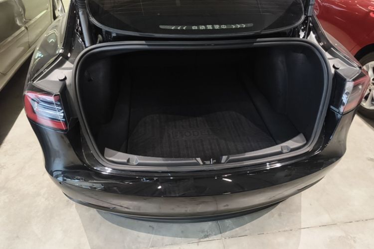 Tesla Model 3 2023 #21 Tesla Model 3 2023 immagine di auto #21